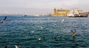 kadikoy12 
